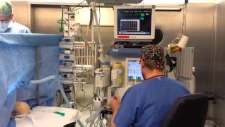 Amateur Transplant Anesthetists Hymn  Lutzs Video Version [upl. by Gnas242]