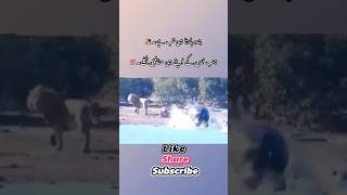 Insan harta hi tab hai jab apne monafiq ho😏youtubeshorts motivation hypocrites [upl. by Austina]