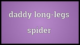 Daddy longlegs spider Meaning [upl. by Cordy875]