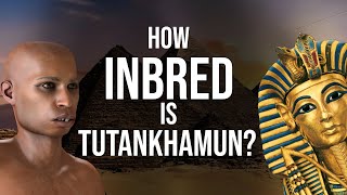 How Inbred was Tutankhamun [upl. by Banebrudge431]