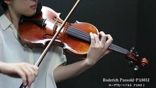 【楽器試奏動画】Roderich Paesold PA803J Violin [upl. by Sanfourd]