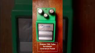 Ibanez TS9 Tube Screamer Overdrive Pedal [upl. by Hamon531]