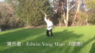 青萍剑第二路 Qing Ping Sword Second Routine [upl. by Notgnilra]