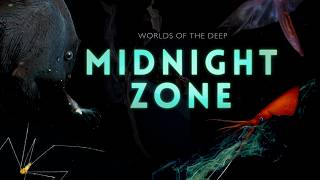 Into the Midnight Zone Secrets of the Ocean Void [upl. by Sira]