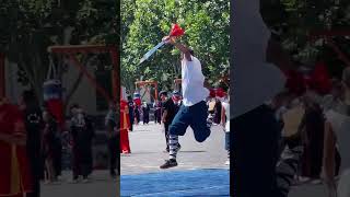 Shaolin Kungfu Double Swords Yanlu Kungfu School [upl. by Nospmas221]