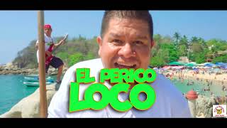 Camaleón Tropical  El Perico Loco Videoclip Oficial [upl. by Killie]