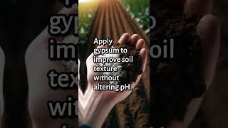 5 Quick Tips to Improve Clay Soil Fast [upl. by Enileuqcaj]