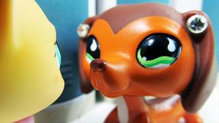 Littlest Pet Shop Popular Episode 12 The Rise and Fall of Brooke Hayes [upl. by Wandis732]