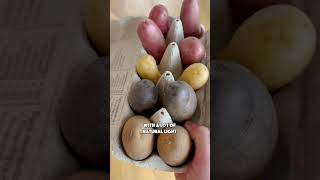 How to grow your own potatoes at home 💚 [upl. by Williamson539]