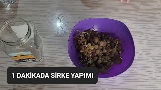 1 DAKİKADA SİRKE YAPIMI EVDE KENDİ SİRKENİZİ YAPIN [upl. by Joleen]