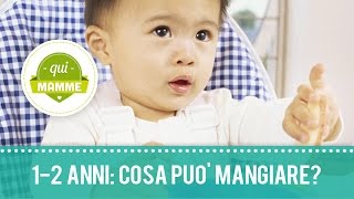 Cosa può mangiare il bambino da 1 a 2 anni [upl. by Breskin629]