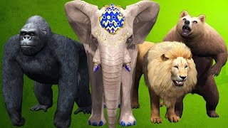 Kids 3D Finger Family  ZOO Animals Finger Family Rhymes  4K Nursery Rhymes [upl. by Metabel]