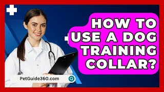 How To Use A Dog Training Collar  PetGuide360com [upl. by Edelman182]