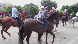 Cabalgata Horse Parade at the Feria de las Flores Flower Festival in Medellin Colombia [upl. by Hurd637]