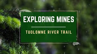 Tuolumne River Mine Trail [upl. by Fenella96]