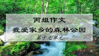 丙组作文～ 我爱家乡的森林公园 [upl. by Aidroc]