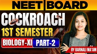 Cockroach Class 11  Cockroach Class 11 Biology  Cockroach Class 11 Neet  Part2  Barnali Maam [upl. by Moffit912]