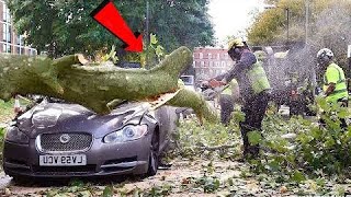 Dangerous Idiots Tree Cutting Fails With Chainsaw Working  Big Tree Falling On Car Pathetic [upl. by Chema]