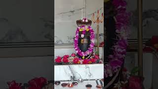 Deeneshwar Mahadev Dhaam darshan 🙏🙏🌺deeneshwar hridaynath [upl. by Card551]