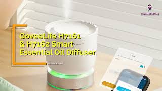 GoveeLife H7161  H7162 Smart Essential Oil Diffuser User Manual Tutorial [upl. by Annoya]