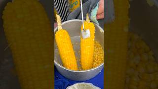 Wow The surest way to harvest corn kernels [upl. by Llevart]