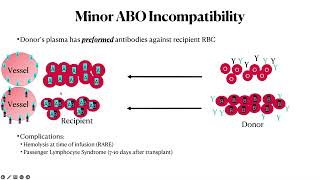 Transfusion Products for ABO Incompatible Allogeneic Stem Cell Transplants pathagonia [upl. by Atled]