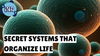 From Cells to Systems The Amazing Organization of Life [upl. by Graaf853]