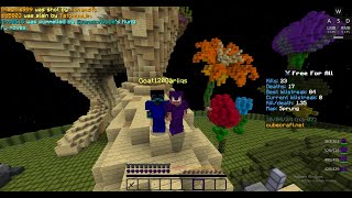 cubecraft ffa like part 11 i think [upl. by Esinrahs685]