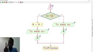 PSEINT Diagrama de flujo y Pseudocódigo que determina tu edad [upl. by Juno429]