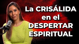 La Etapa de la Crisálida en el Despertar Espiritual  Cristy de la Torre [upl. by Airec]