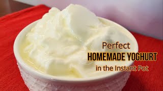 How to make Yoghurt in Instant Pot  Instant pot yoghurt  Homemade Yoghurt  life of homemaker [upl. by Conall]