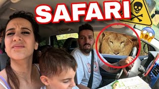 🦁De SAFARI a la RESERVA AFRICANA SIGEAN y TENEMOS ANIMALES SALVAJES AL LADO 😱🦏 [upl. by Nani]