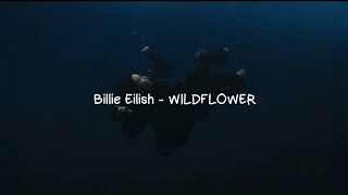 Billie Eilish  WILDFLOWER Lyrics [upl. by Cyndi]