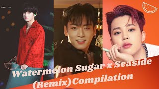 Watermelon Sugar x Seaside Remix BTS TikTok  Reels Compilation [upl. by Airehs]