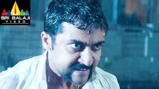 Singam Yamudu 2 Suriya Action Scene  Suriya Anushka Hansika  Sri Balaji Video [upl. by Orose844]