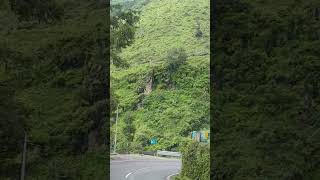 Kanatal Uttarakhand  kanatal road trip  Road Trip  dhanaulti nature kanatal uttarakhand yt [upl. by Philly]