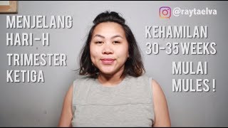 TRIMESTER KETIGA  UPDATE KEHAMILAN 3035 WEEKS [upl. by Lindi886]