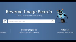 TinEye Best Reverse Image Search Engine [upl. by Eimmas]