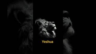 Yeshua Hamashiach Lion of Judah Agunechemba [upl. by Tirzah]