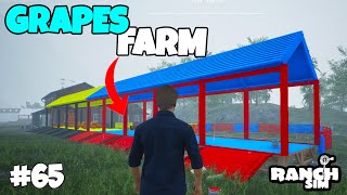 FINALLY BUILD NEW GRAPES FARM  RANCH SIMULATOR 65 [upl. by Adnohrahs176]