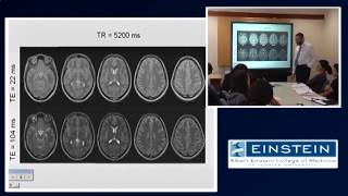 Introducing MRI Contrast Agents 13 of 56 [upl. by Ovida]