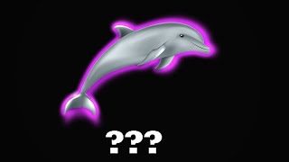 15 Dolphin Sound Variations in 40 Seconds [upl. by Naitsirhc]