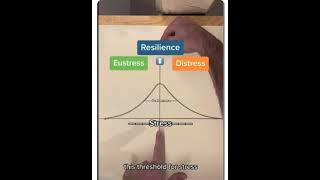 Stress Eustress vs Distress [upl. by Marijo]