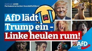 TrumpWahl belebt transatlantische Partnerschaft Damian Lohr [upl. by Ritz221]