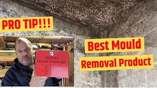 Whats in my Survey Kit 01 The Best Black Mould Removal TreatmentProduct [upl. by Enovi]