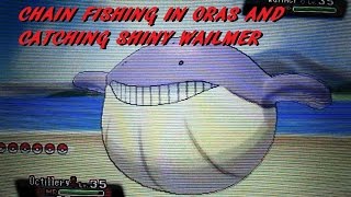 CHAIN FISHING SHINY WAILMER ENCOUNTER POKEMON OMEGA RUBY ALPHA SAPPHIRE ORAS EASIEST METHOD SHINY [upl. by Ynalem994]