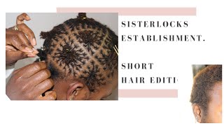 Sisterlocks Establishment  Installation with short 4c Afro hair sisterlocks [upl. by Hobie905]