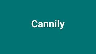 Cannily Meaning and Pronunciation [upl. by Nylodam]