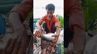 WOW Giant Pangasius Fish Cutting Skills shorts [upl. by Dnomyaw]