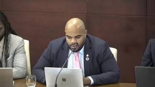 Video 27 Marinka Gumbs St Maarten Parliament Sint Maarten Government JudithRoumouStMaartenNews [upl. by Kotta]